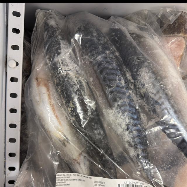 Mackerel fish 1kg
