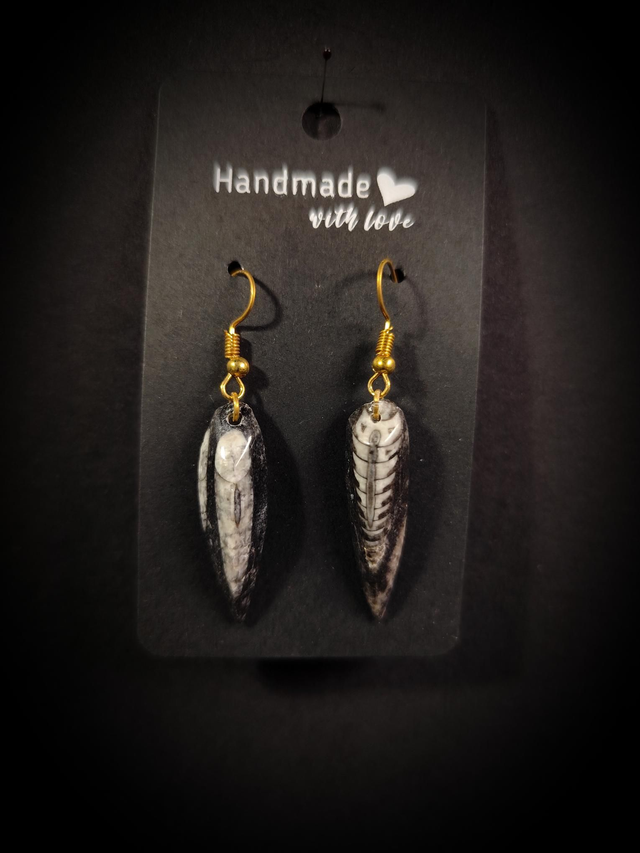 Boucles d&#039;oreilles Fossile Orthocéras dorée