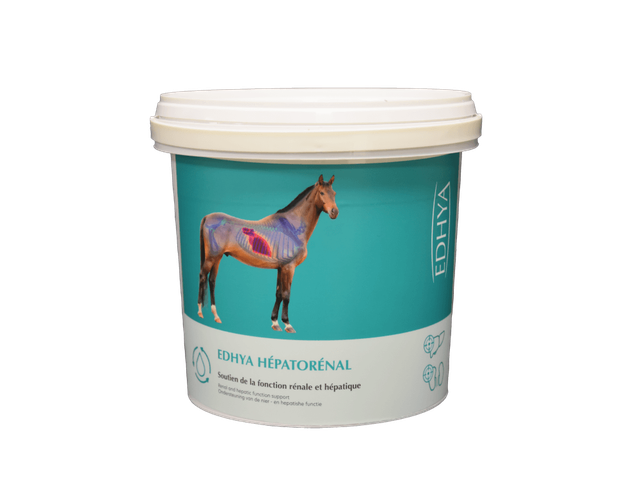 Edhya HEPATORENAL 800 g