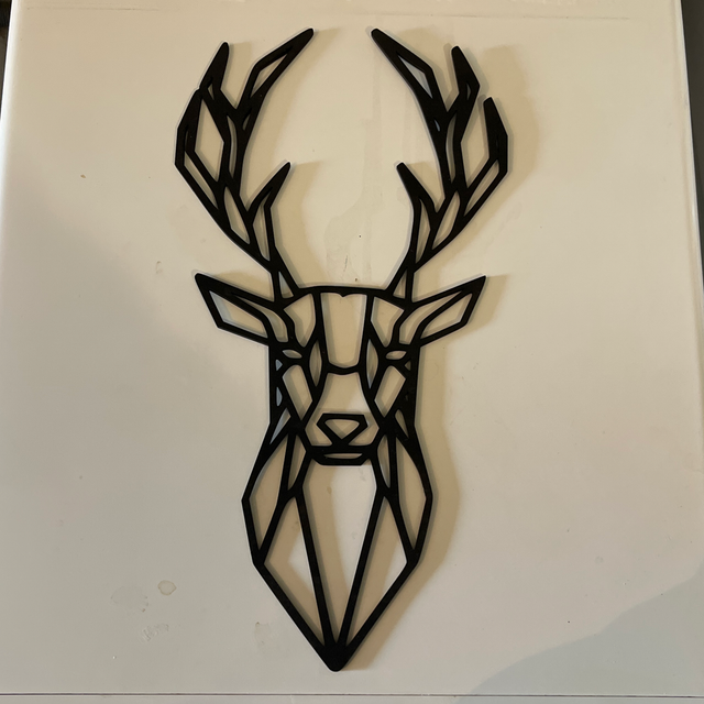 Magnifique cerf 🦌 