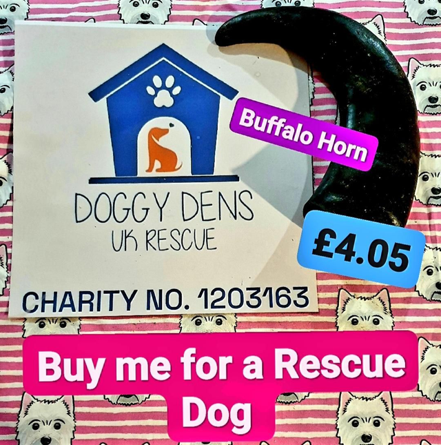 Buffalo Horn for Doggy Dens Uk🐕🇬🇧❤