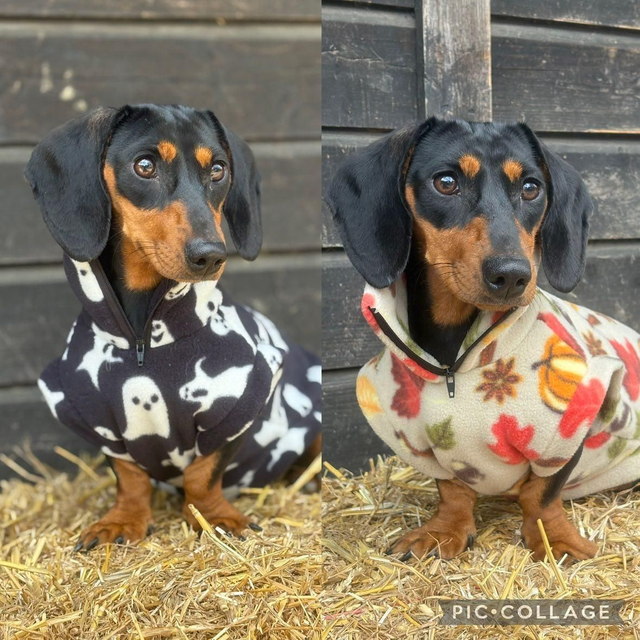 Halloween fleece jumper