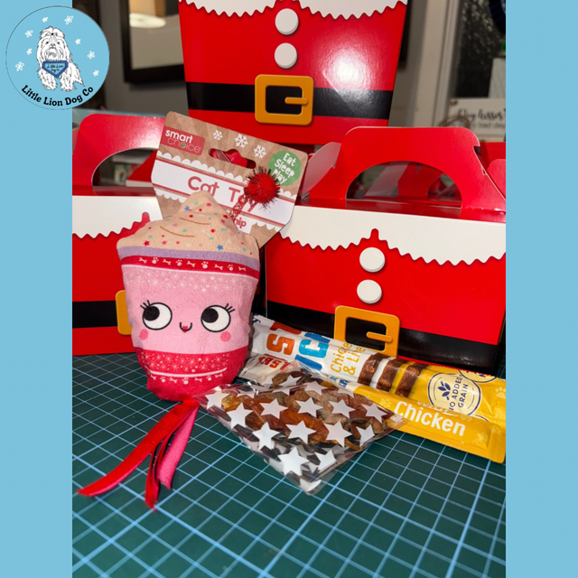 Christmas Cat Gift Box