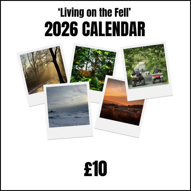 "Living On The Fell" 2026 Calendar