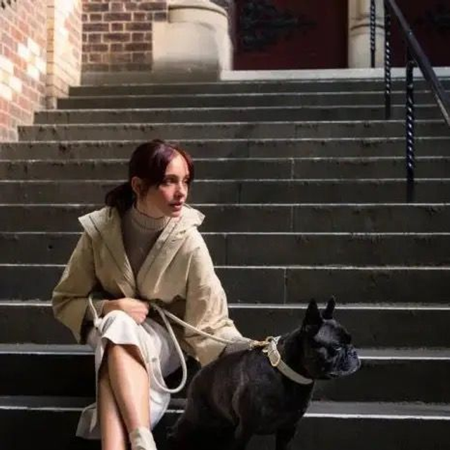 Fuzzyard Sandstone Collar