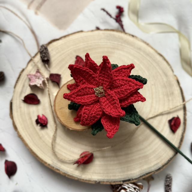 Poinsettia