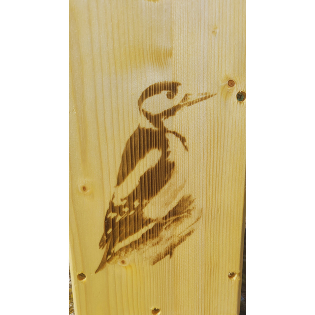 Nichoirs à pic épeiche 🐦