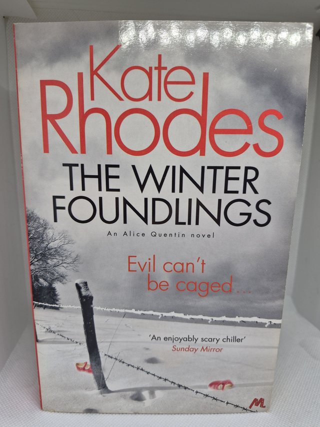 Kate Rhodes - The Winter Foundlings
