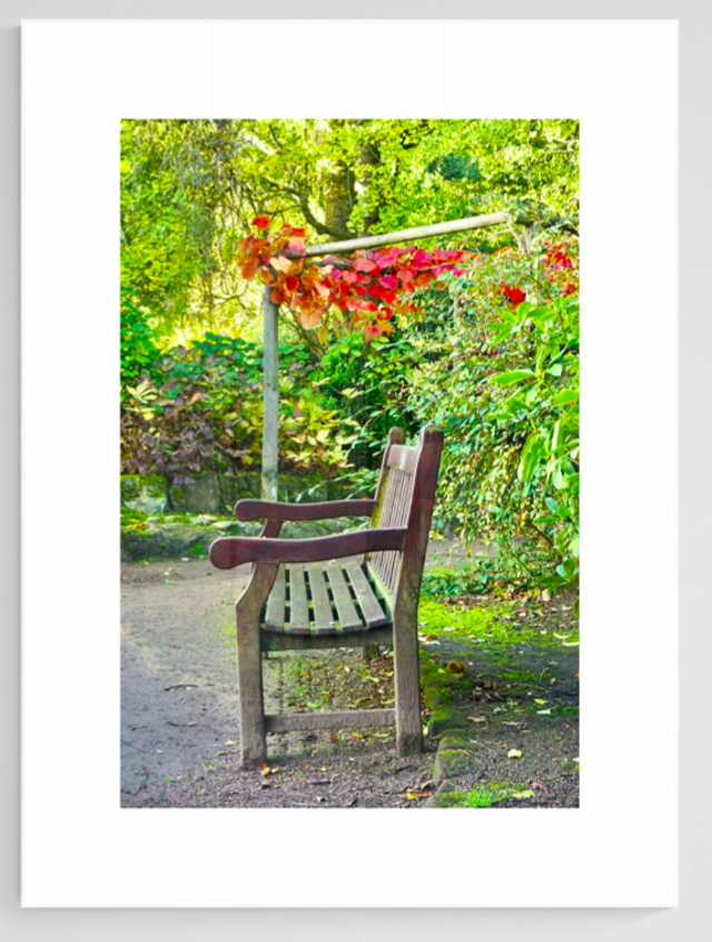 Meet me at Our Bench - Print
