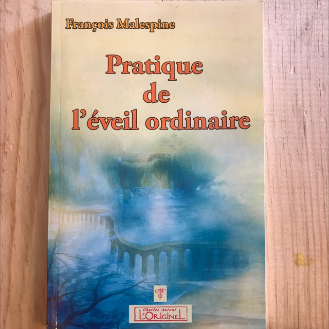 MALESPINE François - Pratique de l’éveil ordinaire