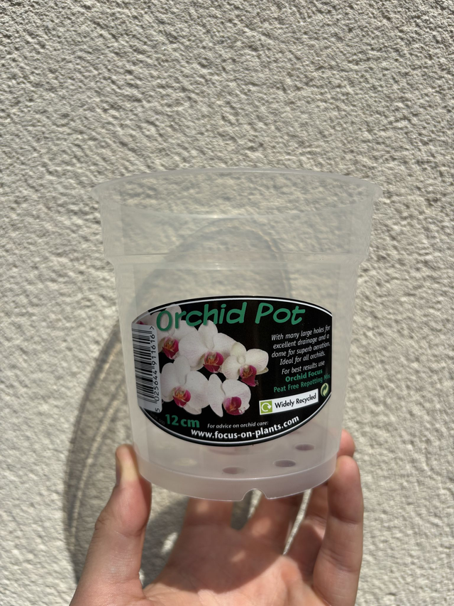 Orchid Pot