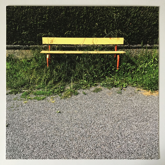 "Born to be wild" - Tirage Photo FineArt (30x30 sans cadre)