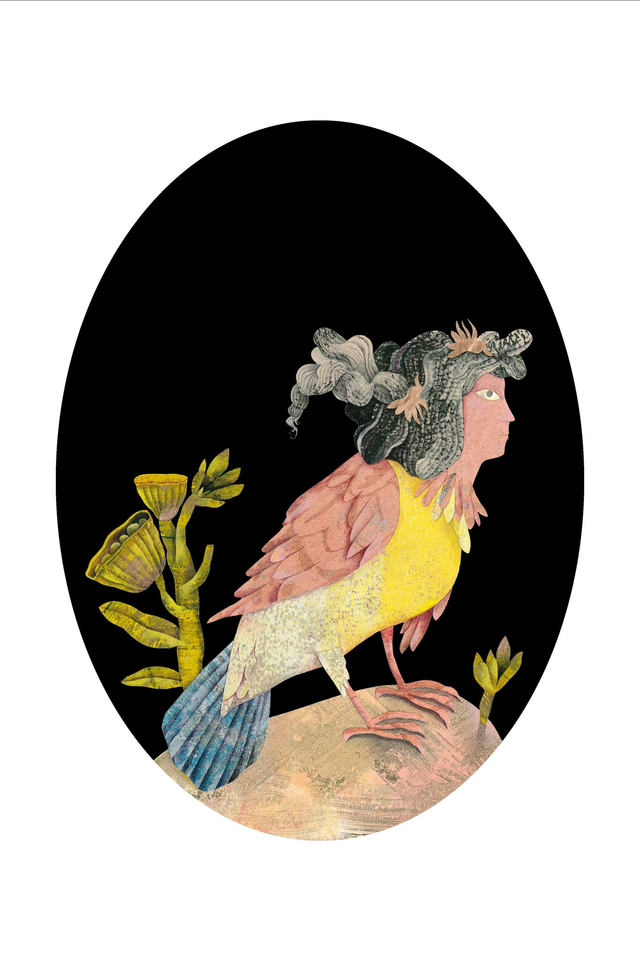 Chimère Femme oiseau - Tirage d'art 