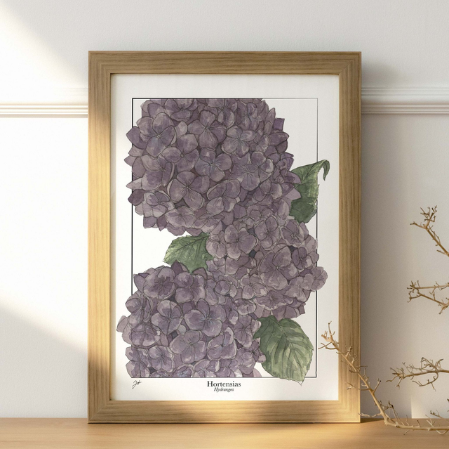 Affiche A4 - Vin Nature - Hortensias