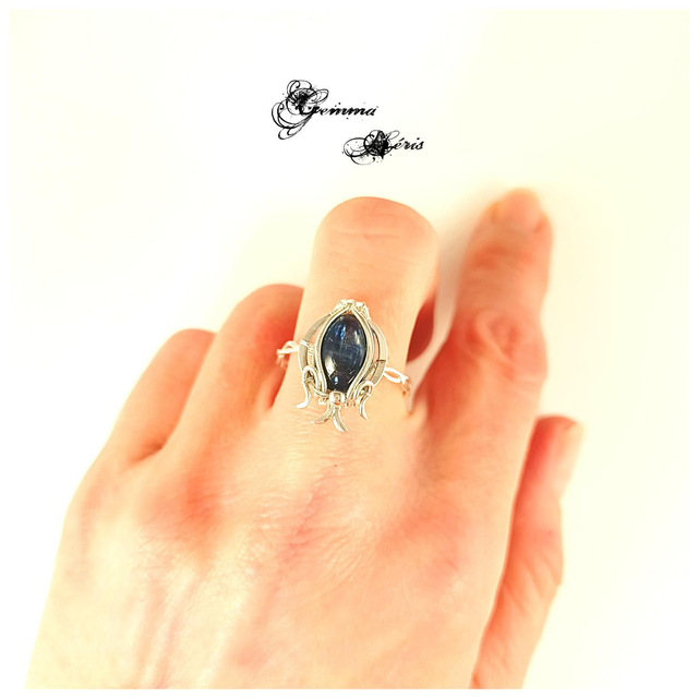 Neptune - ou l'hommage à la nature impétueuse T 62