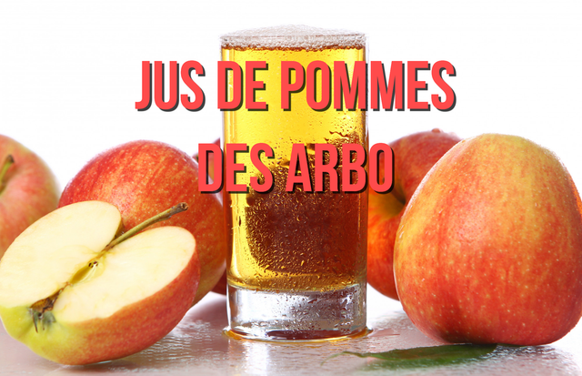 Jus de pommes (Bouteille de 1 litre)