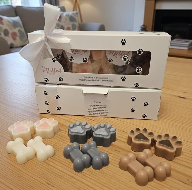 Charity Wax Melts - Tribute to Mario