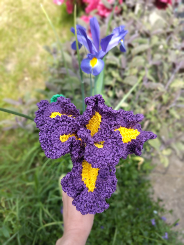 crochet crafts - Hand-Crocheted Cotton Iris Bloom (Made to order - allow 3 weeks craft time)
