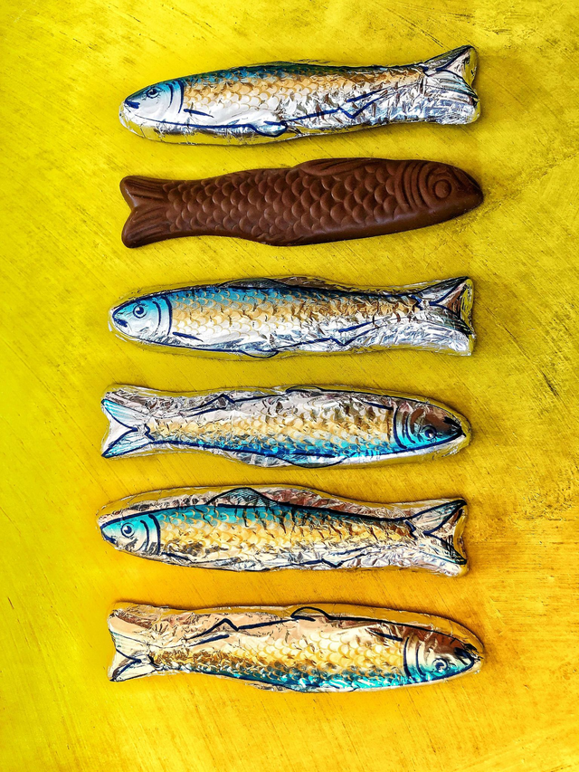 Choco Sardines
