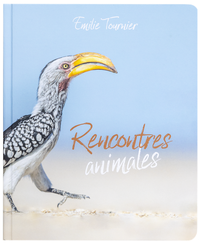 Livre "Rencontres animales"