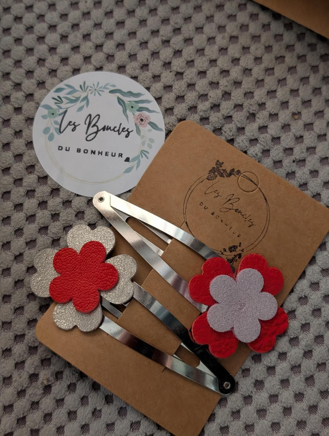 Barrette b033