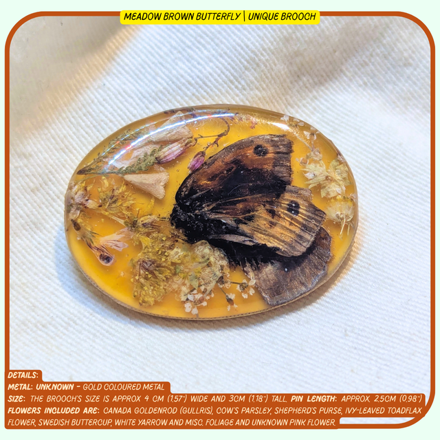 Meadow Brown Butterfly | Unique Brooch | Real Flowers & Foliage