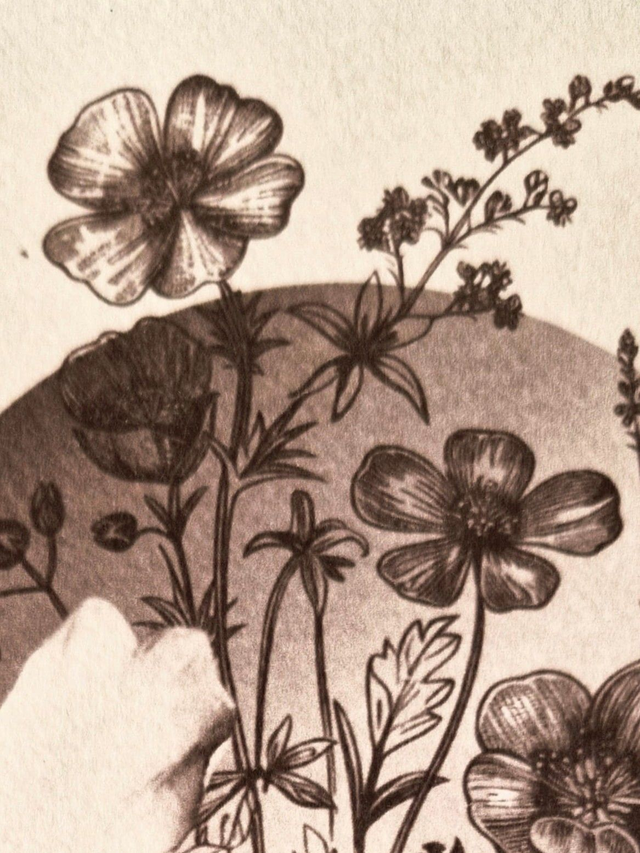 Cyanotype encadré - Femme vintage - Illustration "Ambre"