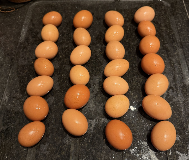 Free Range Eggs - Box of 6 mixed sizes.