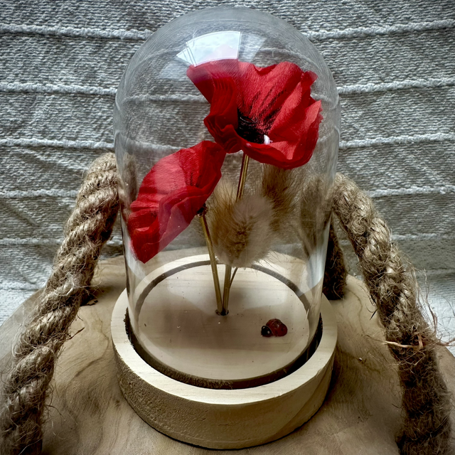 Coquelicot sous cloche pompon beige