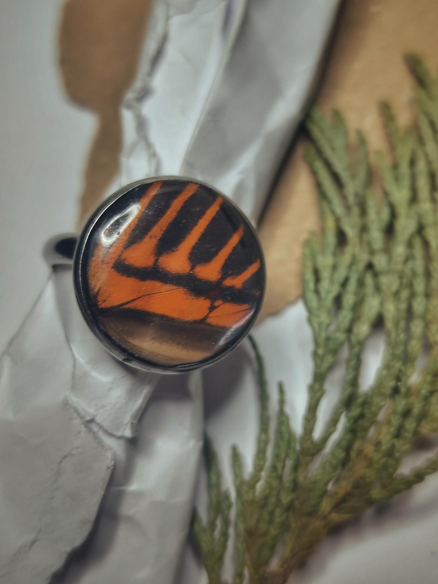 Butterfly Wing Ring