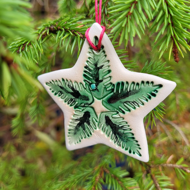 Festive Fir Duo - Wreath & Star Decoration