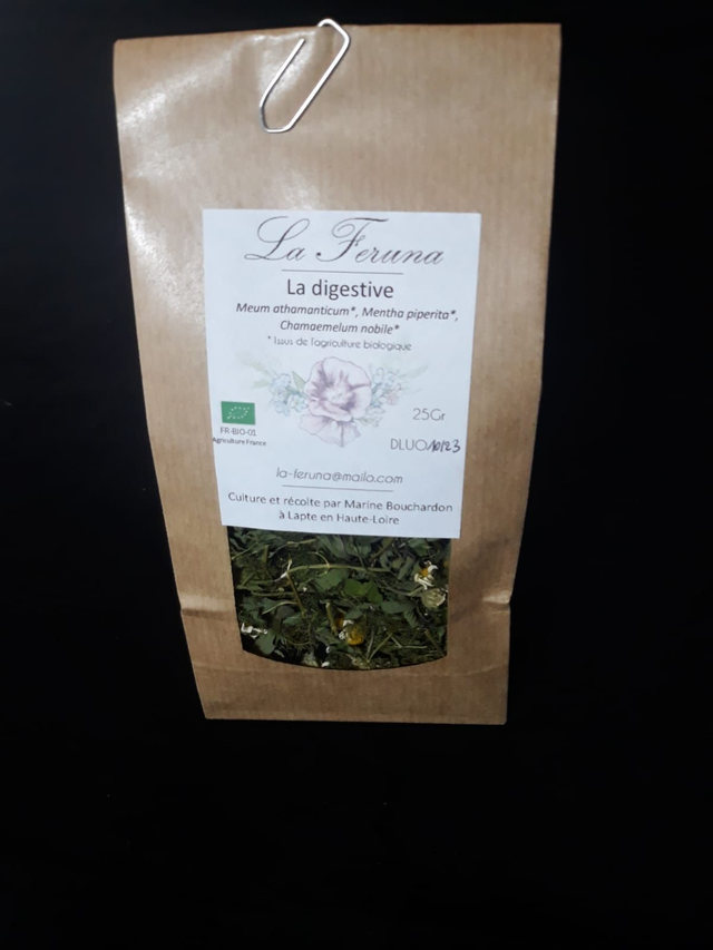 La digestive