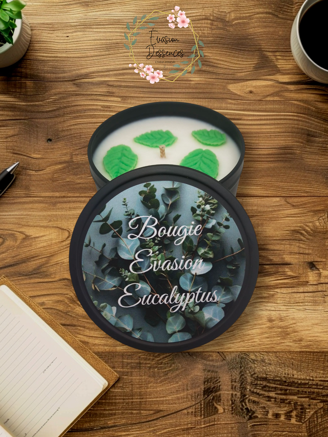 Bougie Evasion Eucalyptus