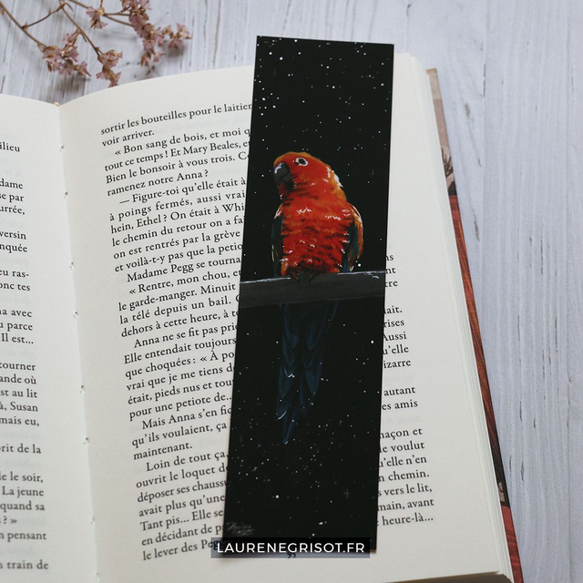 Parrot (bookmark)