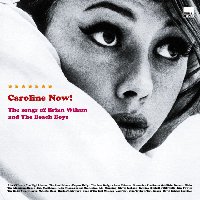 Various - Caroline Now! The Songs of Brian Wilson and The Beach Boys 2xLP (Limited Edition Black Vinyl)