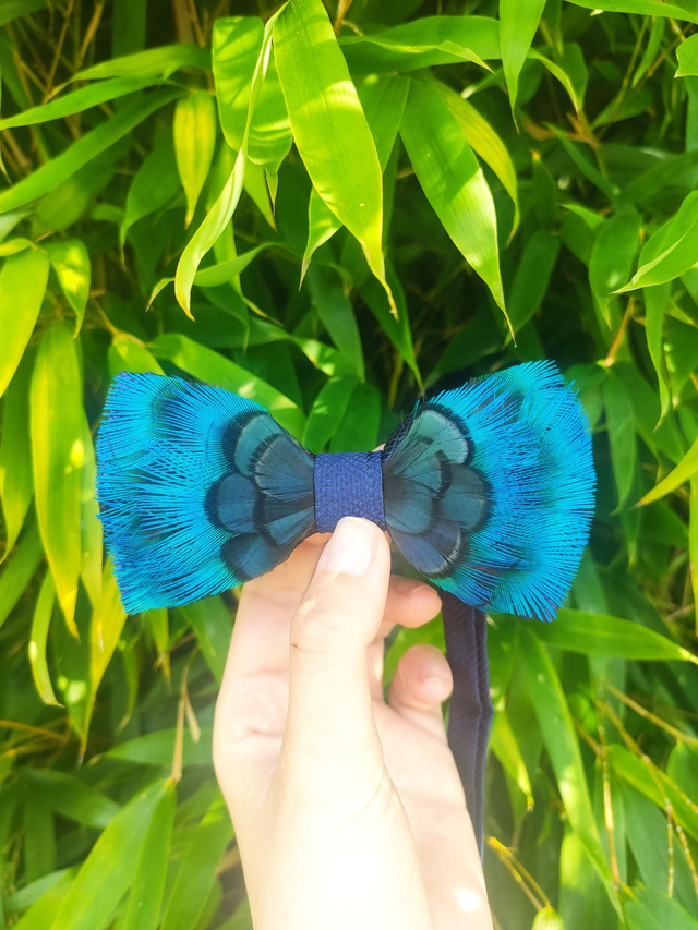 Nœud papillon Tissu et Plumes naturelles de Paon et Faisan doré bleu