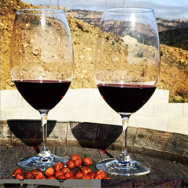 TAST ENTRE VINYES (tast de 3 vins a peu de finca) - grups mínim de 8 persones. Concertar data al 649789740 sms whatsapp