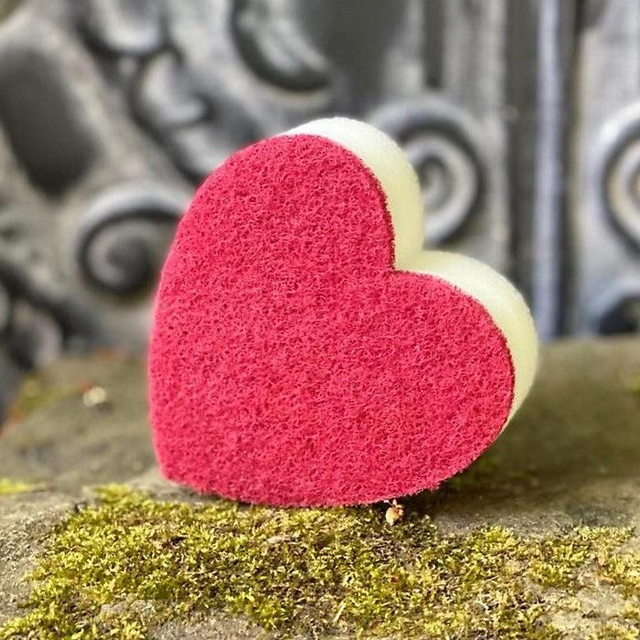Frenchic heart sponge