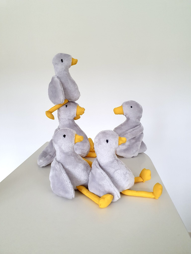 Salomé l&#039;oie cendrée 