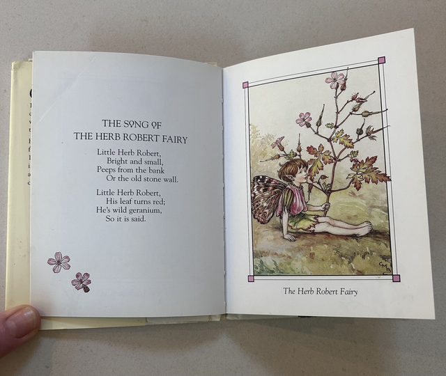 Flower fairies of the Summer Book - By Mary Cecily Barker