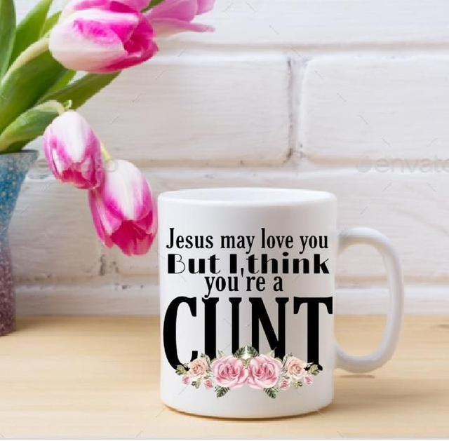 Funny Adult Mug