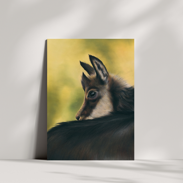 Carte de vœux - Chamois N°3