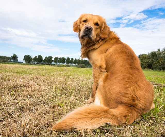 Portretshoot op locatie