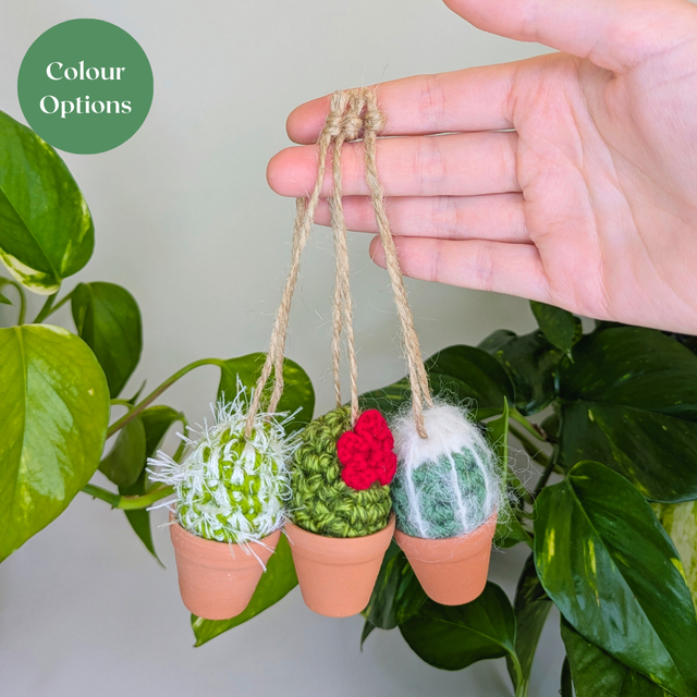 Hanging Mini Crochet Cactus
