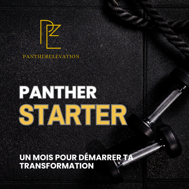 Panther Starter 