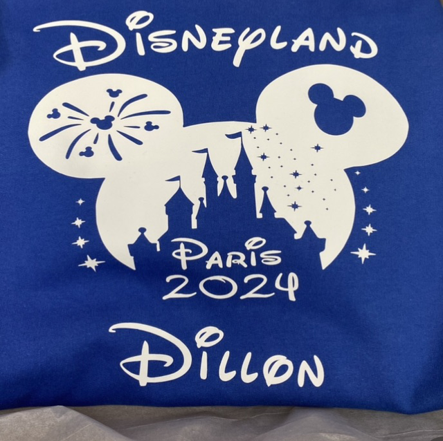 Disneyland castle silhouette hoodie