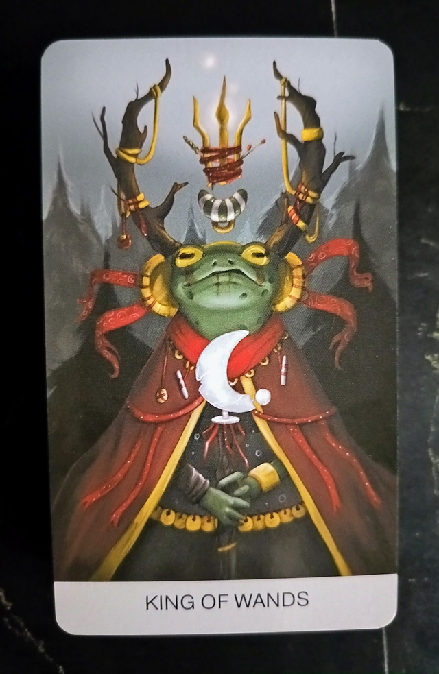 Phrög Tarot: the best deck for frog lovers * curated by Lida Pavlova & Modern Magic Press