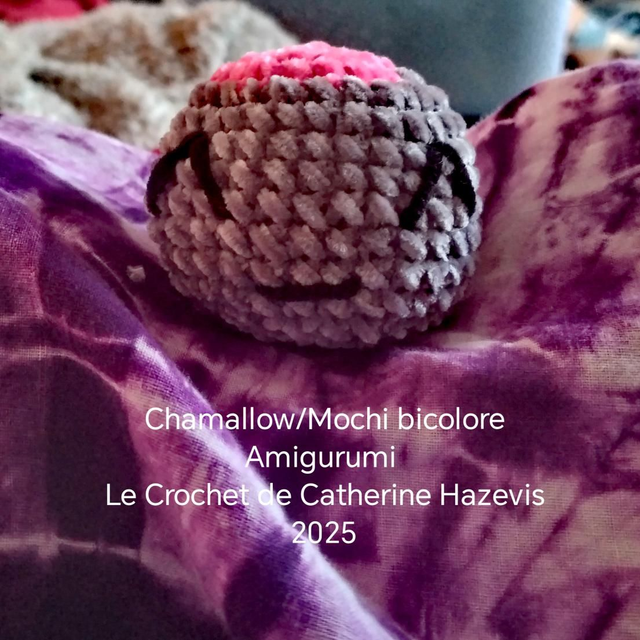 2025 Chamallow/Mochi bicolore 