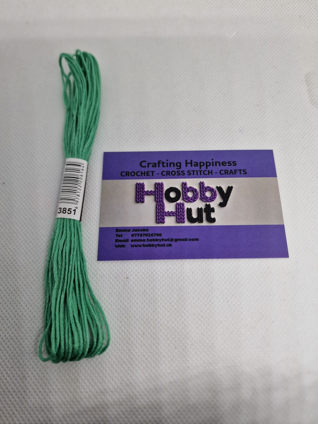 Embroidery Thread - 3851