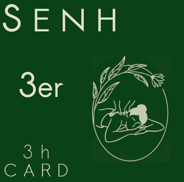 SENH 3h Karte (58€/h)